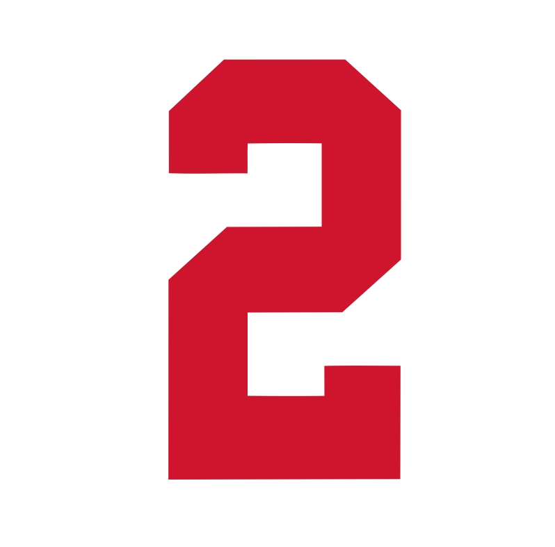 Marist Red Foxes Red Jersey Number 2 iron on transfer Marist Red Foxes Red Jersey Number 2 iron on transfer